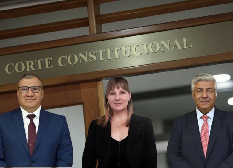De acuerdo a la comunicación del presidente del Consejo de Estado, Milton Chaves García, remitida el 23 de octubre a la Presidencia del Senado, la terna la conforman los juristas Claudia Dangond Gibsone, Miguel Efraín Polo Rosero y Jaime Humberto Tobar Ordoñez.