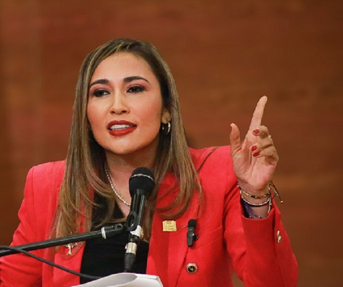 El proyecto de ley que tiene como objetivo garantizar la estabilidad laboral de los docentes que están en provisionalidad y que fue presentado por la senadora Sandra Jaimes, inició su trámite en firme en el Congreso de la república con su primera audiencia pública.  