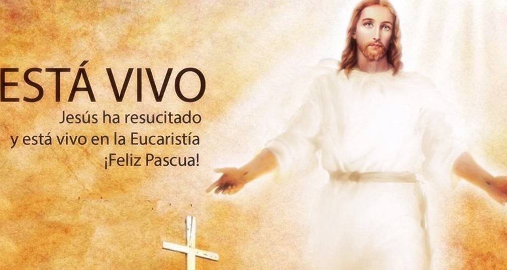 El Arzobispo de Bogotá, Cardenal, Luis José Rueda Aparicio, envía un mensaje a todos los colombianos para tener en cuenta, como vivencia, la Resurrección de Cristo Jesús. 
