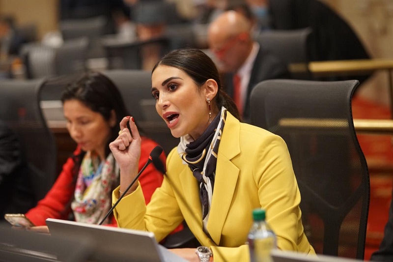 La Representante del partido de la U, Saray Robayo Bechara, manifestó que desde el partido de la U apoyan “La Paz total” y llamó la atención frente a la finalidad del proyecto de ley de definir la política de paz promoviendo la prosperidad y la convivencia pacífica, pero sin sacrificar la legitimidad de la justicia. 