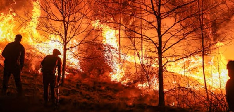 Colombia devastada por incendios en varias regiones rurales 