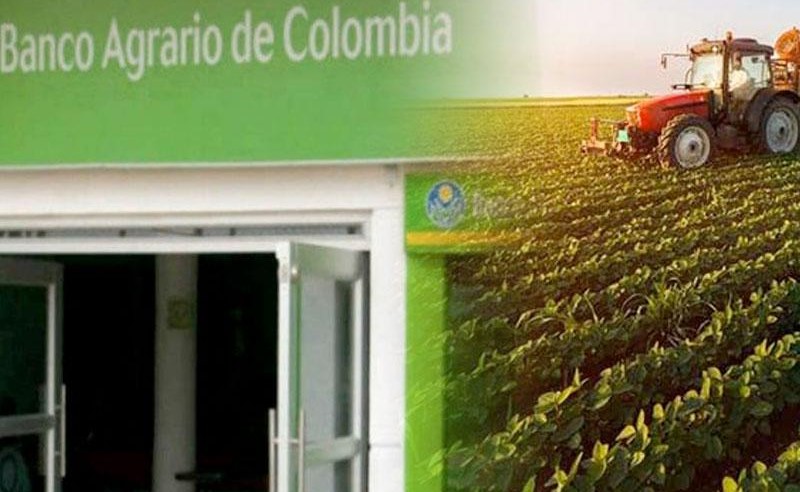 El presidente de Colombia, Gustavo Petro, anunci\u00f3 los aspectos que tiene el Gobierno para fortalecer lo que denomina \