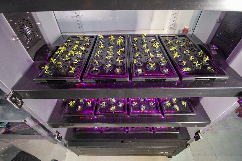 Un invento colombiano podría transformar la agricultura en todo el mundo para afrontar el cambio climático 