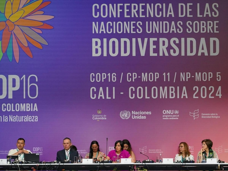 La presidenta de la cumbre, Susana Muhamad, propone iniciar un proceso de negociaciones con el objetivo de crear un nuevo fondo en la COP17 de Armenia, en 2026, para que los países pobres reciban ayuda de los ricos. 