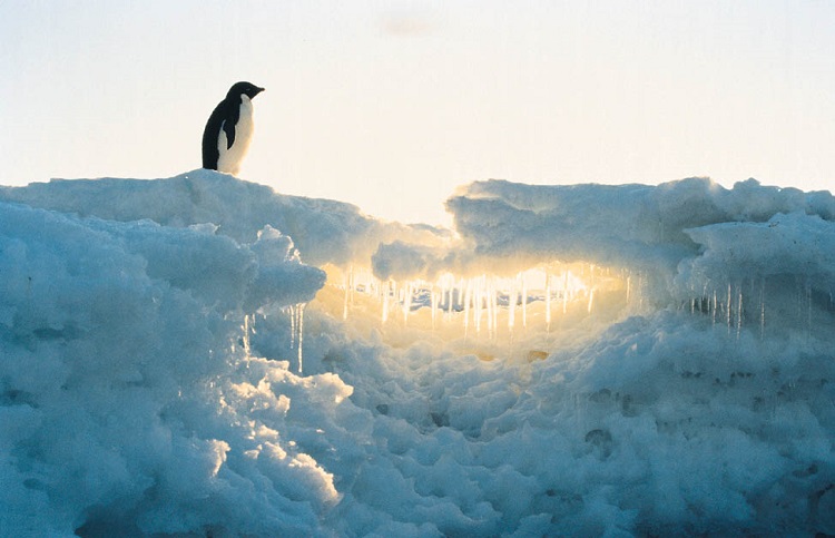 Los líderes Mundiales deben declarar el Estado de "Emergencia Climática" en sus países, para prevenir las catastróficas consecuencias del Calentamiento Global, declaró el Secretario General de la ONU, António Guterres, en la apertura de la cumbre climática.