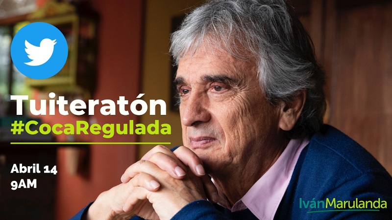Por primera vez el Congreso de Colombia asume la discusión de la regulación del mercado de la hoja de coca y sus derivados, cuando este miércoles 14 de abril, a partir de las 9 AM, se inicie la discusión de la ponencia positiva sobre el tema en la Comisión Primera del Senado.