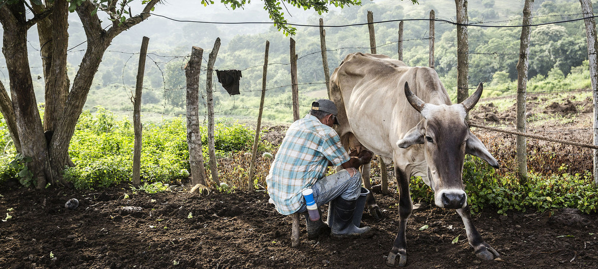 Michel Forst, Relator Especial de Naciones Unidas sobre la situación de los Defensores de DD.HH. denunció, tras visitar el país, que las personas que corren más riesgo, tras el Acuerdo de Paz en Colombia, son los líderes sociales que apoyan la construcción de la Paz. 