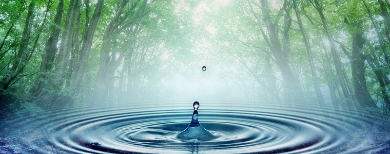 En la celebración del Día Mundial del Agua, este 22 de marzo,  son muchos las preocupaciones en torno al presente y futuro del líquido vital, por los daños que día a día sufren los recursos naturales que la generan, la contaminación y su mal uso, entre otros; pero lo más alarmante es como se convierte gota a gota en una riqueza para el sistema financiero mundial: se cotiza en Wall Street, con la fórmula H2O, una joya de la supervivencia en las bolsas de los grandes capitales del mundo, que más temprano que tarde va a generar conflictos y guerras como las ocasionadas por el petróleo, un motor energético mundial.
