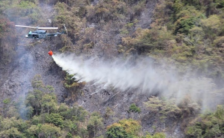 En lo que va corrido del año los incendios han arrasado este año en Colombia 103.249 hectáreas de bosques, pastos y manglares.