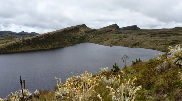Por primera vez en la historia política de Colombia, cinco gobernadores y la alcaldesa de la capital de Colombia, se reúnen este sábado en el Sumapaz, para firmar un pacto por la defensa y preservación del que se considera el páramo más grande del mundo.