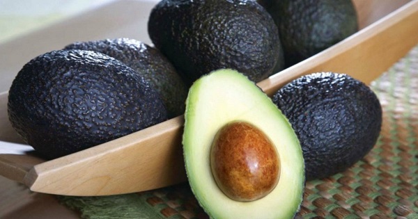 Como es conocido, Colombia es el cuarto país productor de aguacate Hass. El propósito del Gobierno es seguir trabajando para que en el 2020 las exportaciones sean mayores ya ue según las cifras del Gobierno, hemos exportado en los primeros cinco meses del año, US$47,1 millones con un aumento del 30,8 %, respecto al mismo periodo del 2018. 