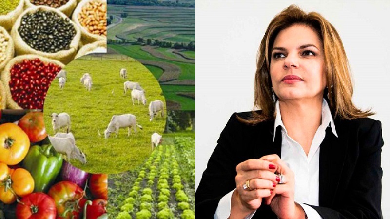 Así lo considera Flavia Santoro, presidenta de Procolombia, al referirse a la forma como la FAO ha catalogado el potencial del área cultivable, variedad de oferta exportable, factores competitivos y la capacidad de producción en el territorio colombiano, casi todos los días del año.