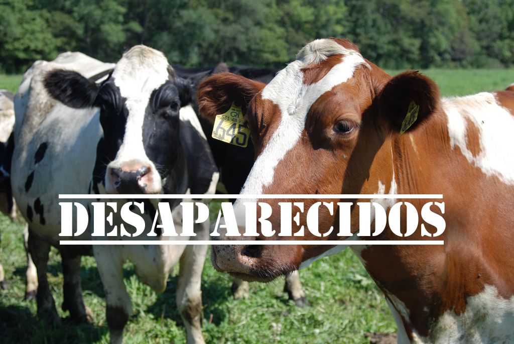 “Quien se apropie para sí o para otro de especies bovinas mayor o menor, equinas o porcinas plenamente identificadas, incurrirá en prisión de 60 meses (5 años) a 120 meses (10 años) y multa de 25 a 50 salarios mínimos legales mensuales vigentes”, contempla la Ley contra el abigeato, aprobada por el Congreso de la República y sancionada por el Presidente Iván Duque Márquez.