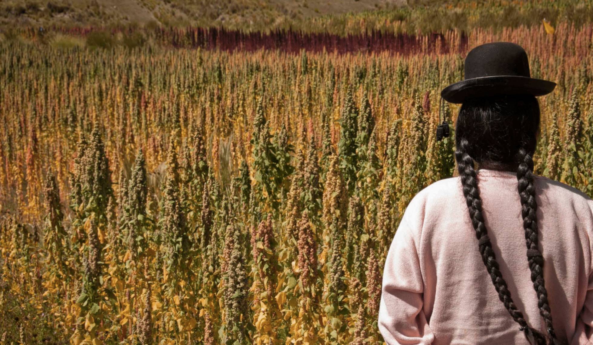 Las economías de América Latina y el Caribe crecerán de media un 1,5% durante el 2018, gracias a una subida de la demanda interna, en particular del consumo privado y a un exiguo crecimiento de la inversión, según apuntó la CEPAL.