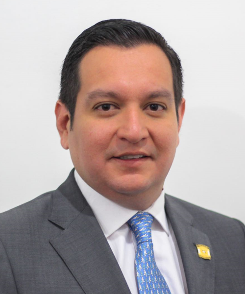 Óscar Villamizar Meneses