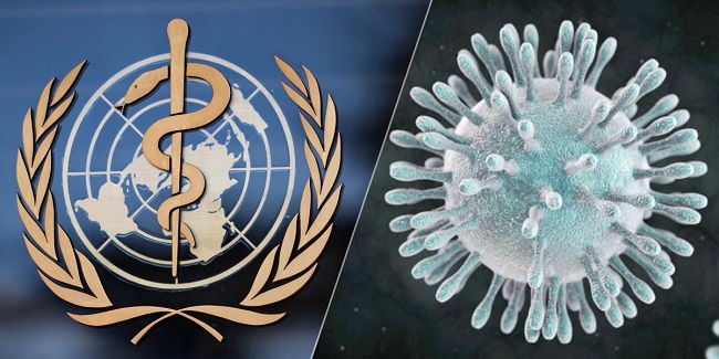 "El coronavirus circula de forma ancestral entre los murciélagos, es algo que sabemos basándonos en la secuencia genética de este virus. Lo que necesitamos entender es cuál ha sido el animal que actuó como intermediario, es decir, que fue infectado por los murciélagos y lo transmitió al humano", sostuvo la jefa del Departamento de Enfermedades Emergentes de la OMS, María Van Kerkhove. 