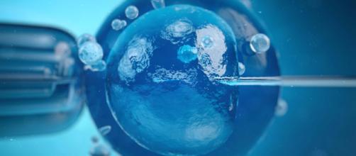 Así lo sentenció la Corte Constitucional al fallar a favor de cinco tutelas sobre el mismo tema definiendo que el Estado debe financiar los tratamientos de fecundación in vitro para personas y parejas de bajos recursos.