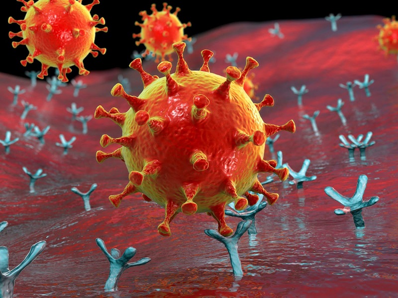 Un grupo de científicos chinos encontró el segundo elemento en el organismo humano del que se aprovecha el Coronavirus para penetrar en las células pulmonares y bronquiales.
