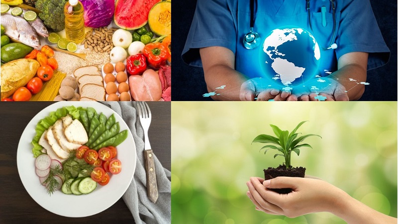 Estos encuentros liderados por FIAN Colombia  y el Colectivo de Abogados José Alvear Restrepo CAJAR  , presentan una reflexión crítica por parte de expertos de diferentes nacionalidades sobre cómo las grandes industrias captan centros de academia y ciencia para que elaboren conceptos que protegen sus intereses sin que se declare tal conflicto de interés. 